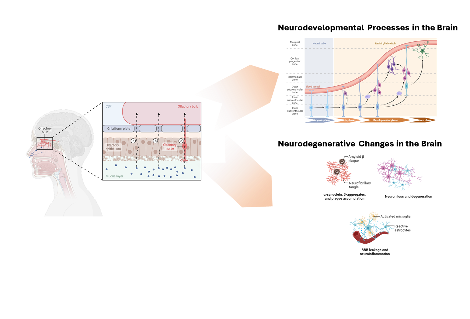 figure image